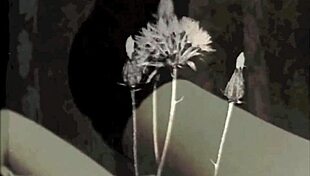 hey, have you heard dickie back from my secret life? dark lantern entertainment spills the erotic confessions of a victorian english gentleman!