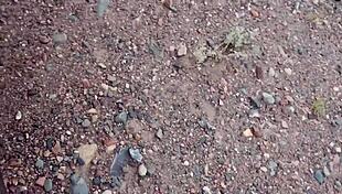 giving a blowjob to a guest after the party in front of my husband