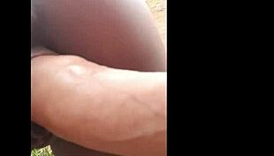 Impregnate Sister-In-Law In Gangbang Anal