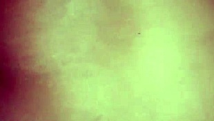 hey, how's doggy style with my malaysian wife feel so damn good?