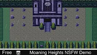 i'm moaning in this hentai 3d game demo with anime porn