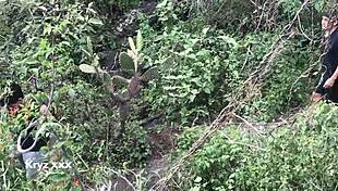 ये जंगली गे सेक्स जंगल में पार्ट 1 मॉन्स्टर लंड और बेयरबैक एक्शन के साथ! 😈