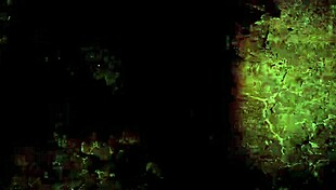 vintage erotic illustration from antique anime