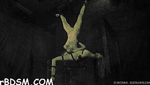 free sadomasochism clips with hardcore fucking and sucking