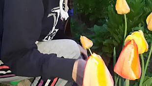 my girlfriend says my pussy smells better than tulips and makes me fly with orgasms