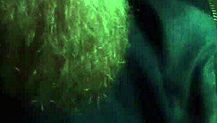 Verification Video For Gay Content