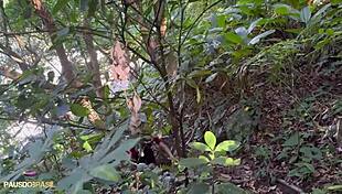 Twink Sucks Big Cock In Intense Gay Blowjob Session