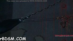 Hotty Bound And Bent Over For Rough Blowjob