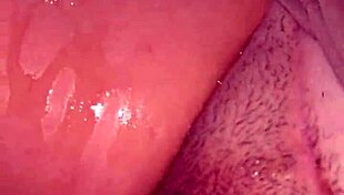 Strangers Cum Inside My Wife's Pussy On The Street