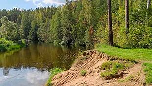 Brunette couple doggystyle anal in woods, cum on ass and creampie.