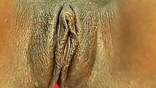 Bbw Receives Large Creampie In Group Setting