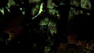 Vintage erotic illustration