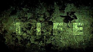 Vintage erotic illustration, gotta love these classic vibes! 🖼️