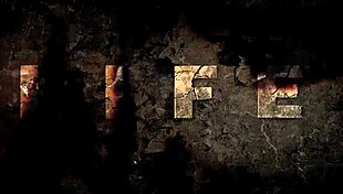 I’m Obsessed with This Vintage Erotic Animation Style