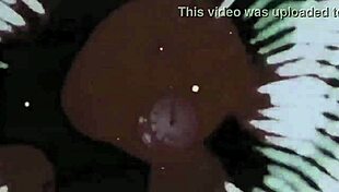 Wow, check these vintage erotic drawings from old-school hentai!