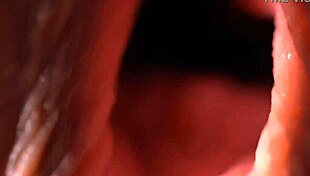 doggy style penetration on a macro lens in great detail?