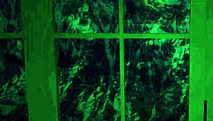 my new memories from the game