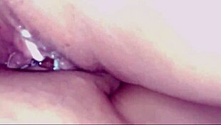 The traveler picked the wrong guide