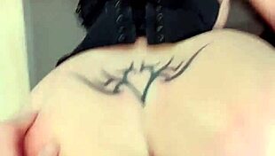 Sex Compilation With Different Pornstars They Love To Suck My Big Cock