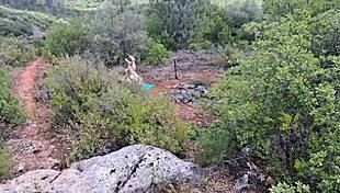 Chubby dude fucks hot latina outdoors?