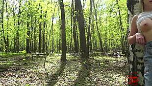 Beautiful Walk In The Forest Near A Birch Tree
