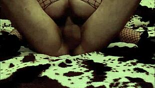 I bought a young lover