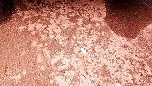 i took my stepson vagninho in the car for a surprise outdoor ass cum luna oliveira e vagninho