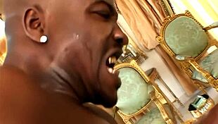 Man, Kapri Styles owns being black and ratchet with style!