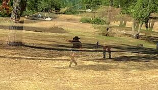 i got this sexy cowgirl visitin me about a horse, but she sucked my monster cock instead 😅