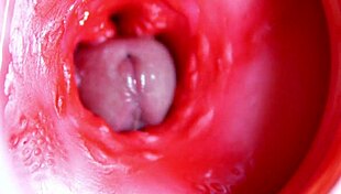 बिग रेड कॉक पाउंड करता ज्यूसी होल इंस्टेंट कम के लिए