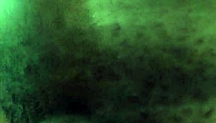 amateurs getting wild in the shower