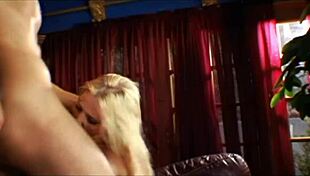 hannah harper and lisa ann tease with juicy slits