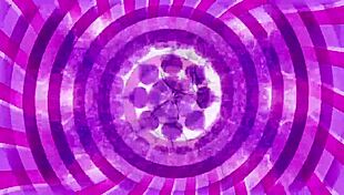 Feeling the thrill of femdom sissy training with teasing instructions