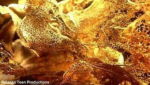 Newbie Lynn Drew First Anal Casting By Lancelot