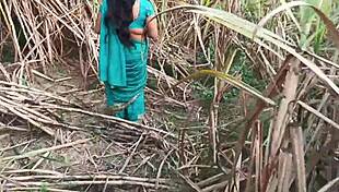 Married girlfriend gets pounded hard in outdoor sugarcane field sex.