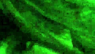 Latina Amateur Blowjob On Cock In Intriguing Encounter