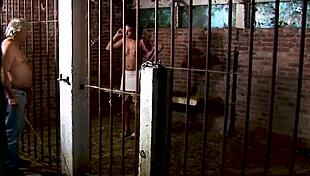 Jizzorama - super old perverted grandpa stable blowjob