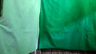 Hot Latina Christmas Elf Craves Dirty Action Tonight!