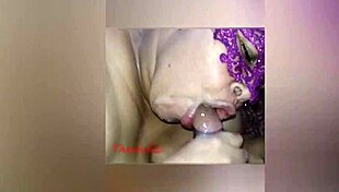 Tirando leite de pica, you ready for this?