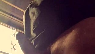 Lluvia De Penes - Bad Wolf28 Dominates Outdoor Teacher Scene