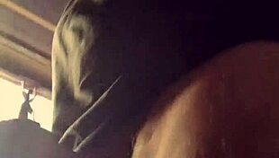 Lluvia De Penes - Bad Wolf28 Dominates Outdoor Teacher Scene