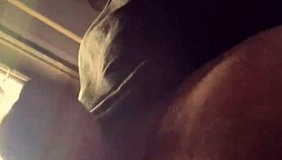 Lluvia De Penes - Bad Wolf28 Dominates Outdoor Teacher Scene