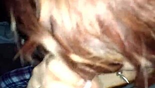 Vid 20170204 083431929