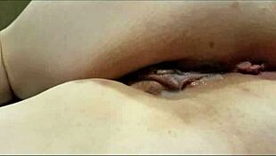 nichole knockers gets a creampie in her big tits