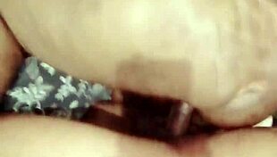 Sundaydogood614 update 965 vid 20250412 172025 apr 12 2025