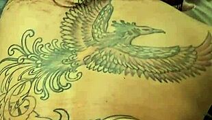 Kalena Mitrak Fulfills Follower With Toys Tits Bed Flashing Group Latina Cuckold Dirty Talk