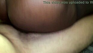 i ripped off her pantyhose and rode that black milf hard.