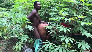 softkind bangs stepmom from behind in bush christmas surprise 😈