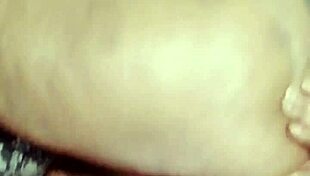 Sundaydogood614 update 965 vid 20250412 172025 apr 12 2025