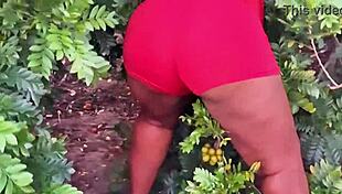 Evangelical neighbor picking fruits in public